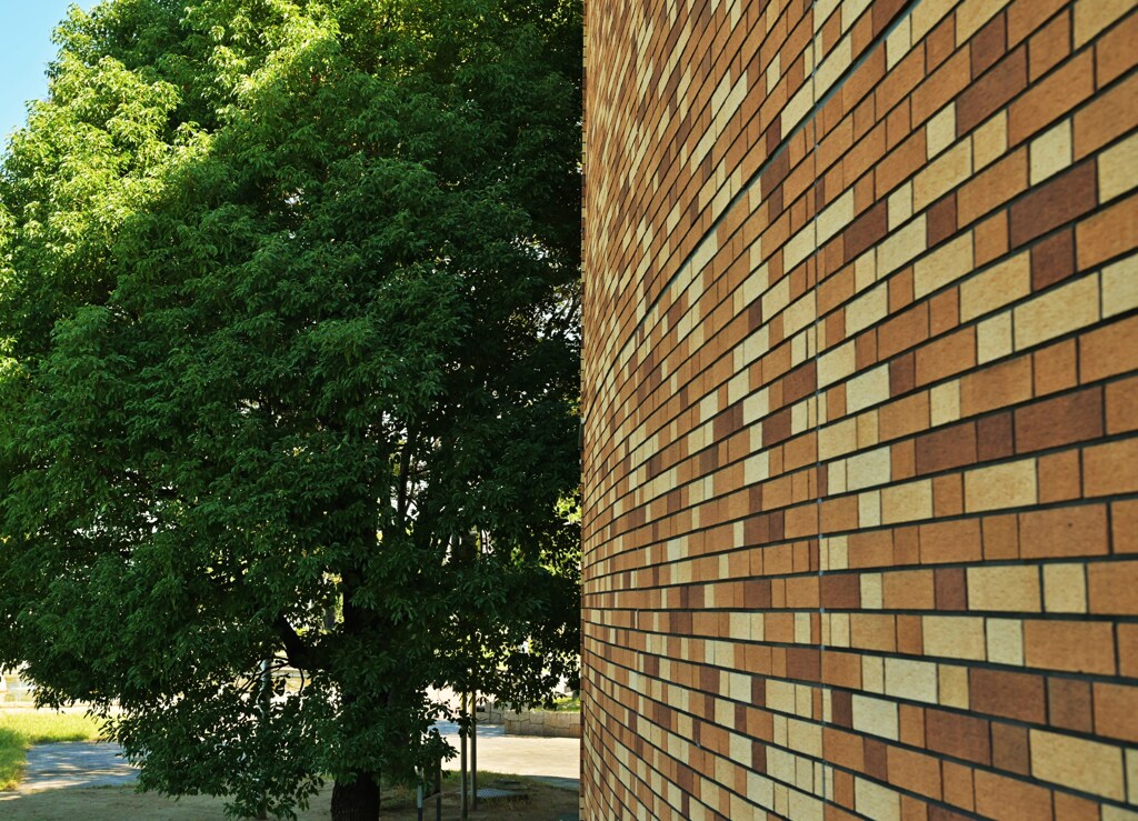 レンガの向こう