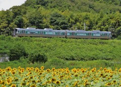 夏列車