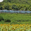 夏列車