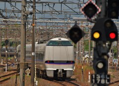 しらさぎ
