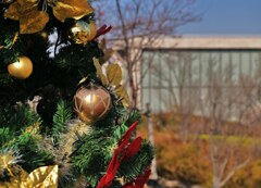 １２月の博物館