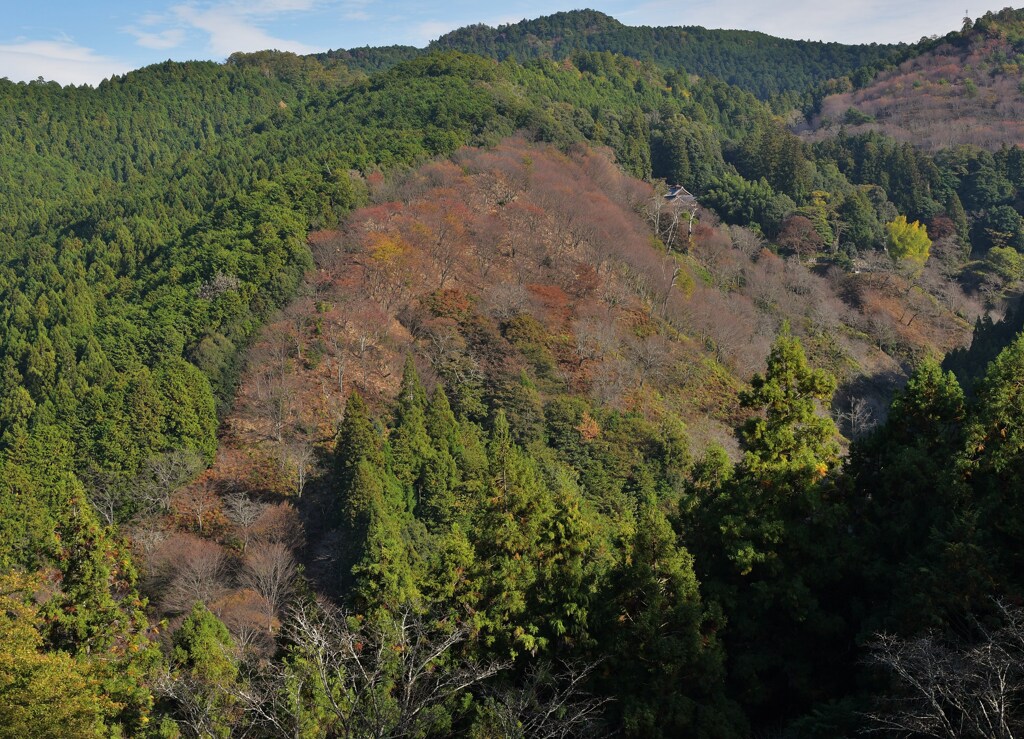 秋山