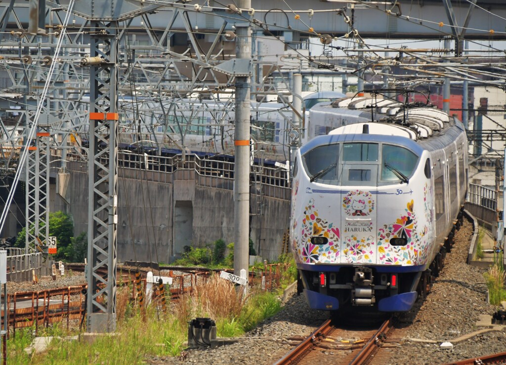 はるか