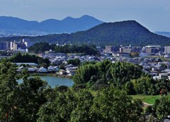 和田池より