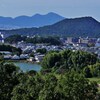 和田池より