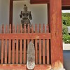 吽形