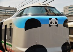 パンダくろしお