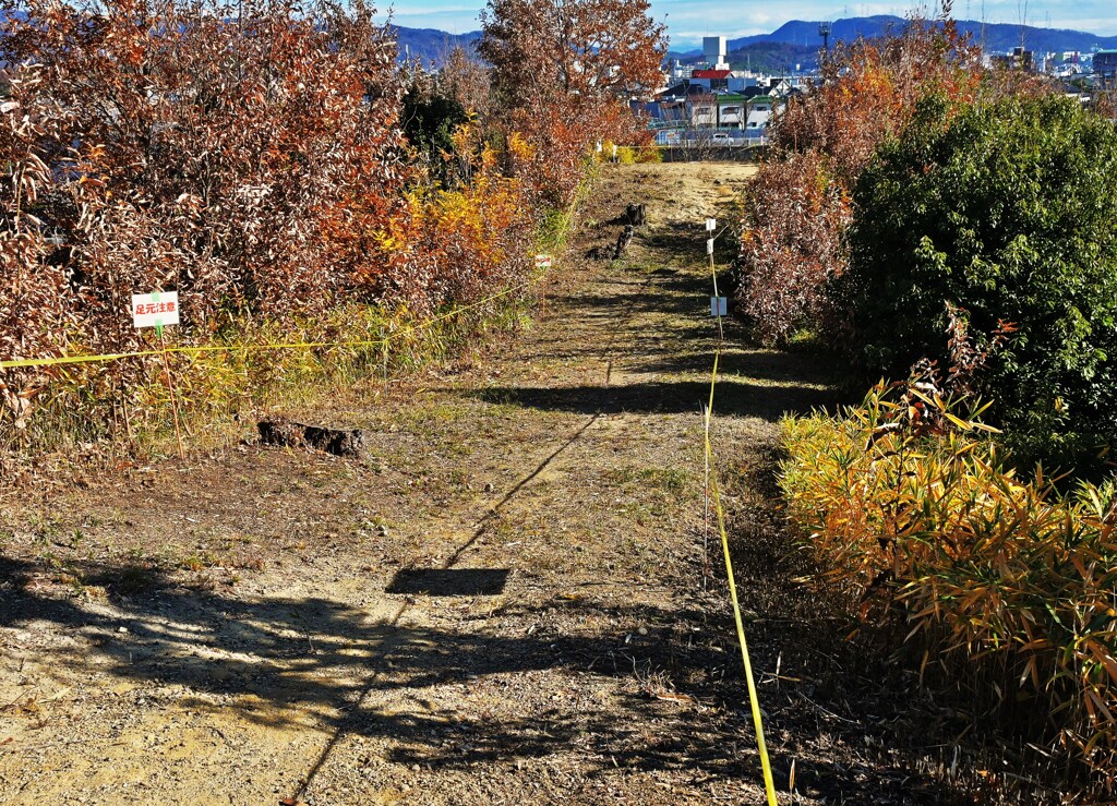 方部から円部を観る