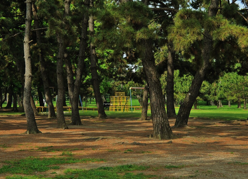 森の公園