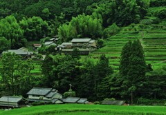 里山の家