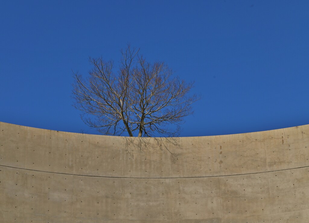 青空