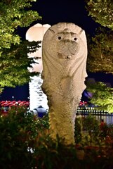 Merlion at night jpg (13)