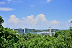 Mount Faber Park`20 (7)_00001