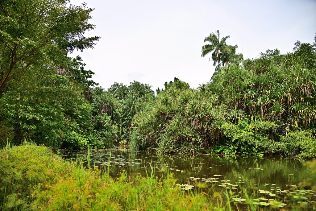 Botanic Garden 3 (11)_00001