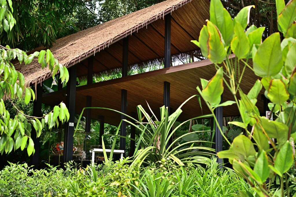Botanic Garden 3 (2)_00001