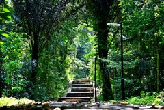 Mount Faber Park`20 (2)_00001