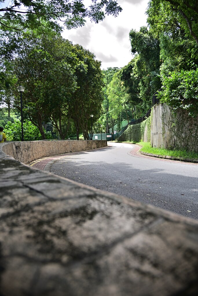 Mount Faber Park`20 (12)_00001