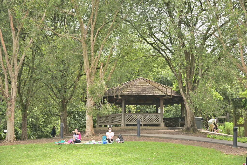 Botanic Garden 3 (9)_00001