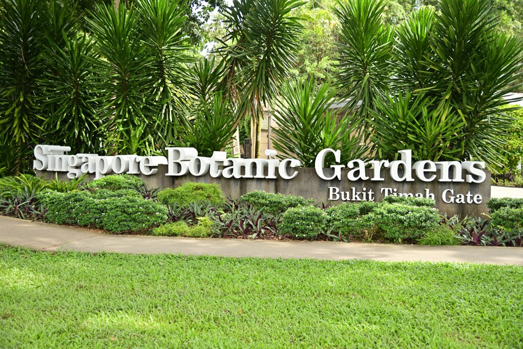 Botanic Garden 3 (13)_00001