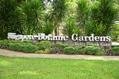 Botanic Garden 3 (13)_00001