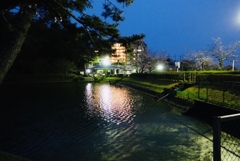 春の夜の公園　1