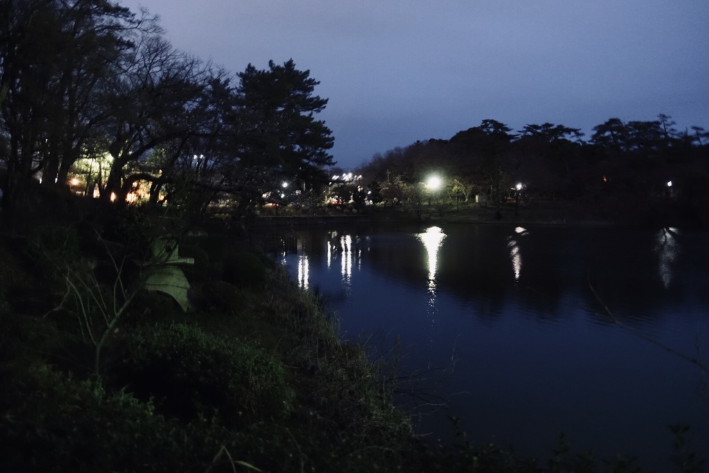 春の夜の公園　3