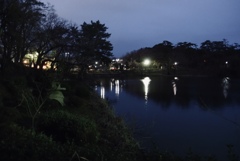 春の夜の公園　3