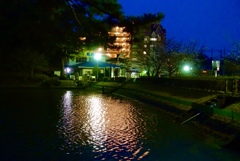 春の夜の公園　2