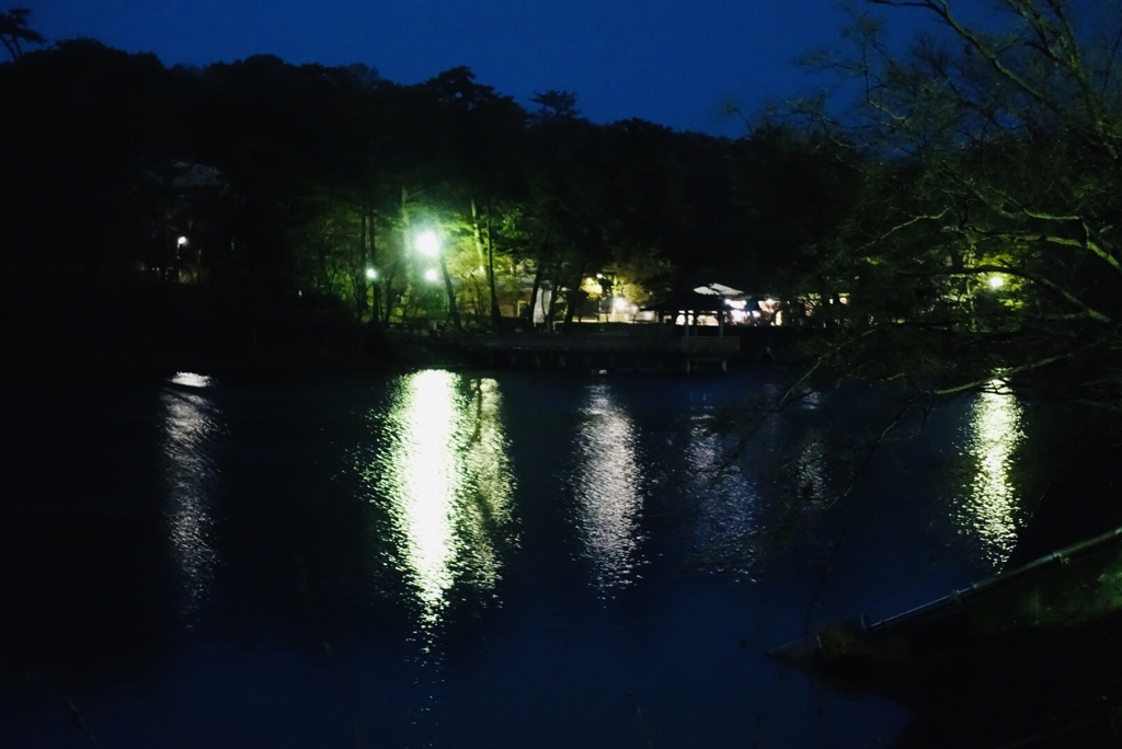春の夜の公園　4