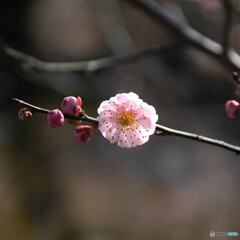 IMG_20200223_161142_707