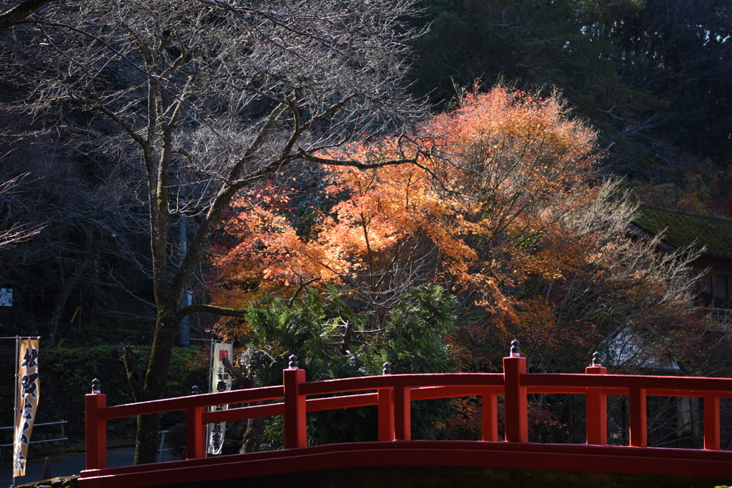 からくれない⑦