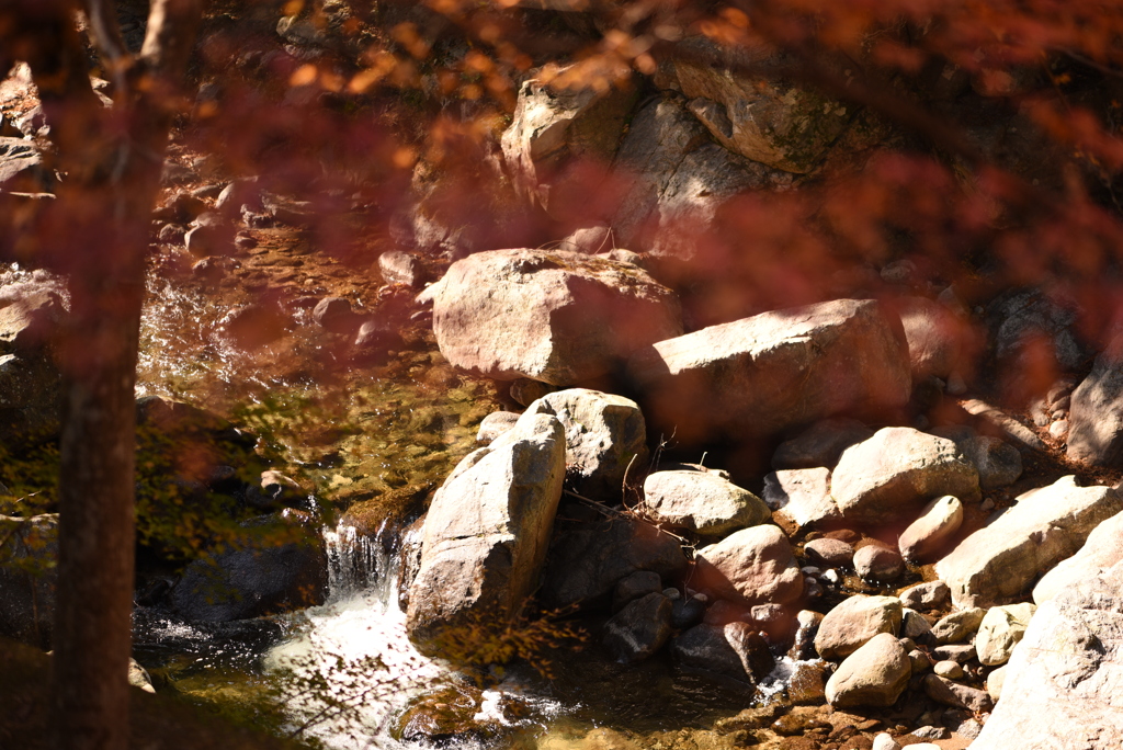 からくれない①