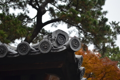 皇居にて②