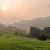 朝日に照らされる棚田