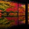 京、秋の彩り