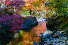 紅葉で色づく川