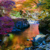 紅葉で色づく川