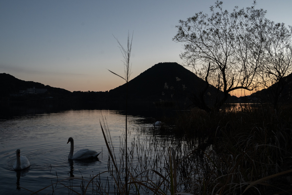 朝の風景