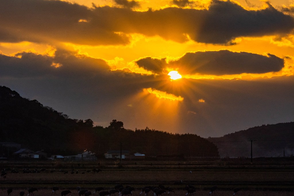 夕景