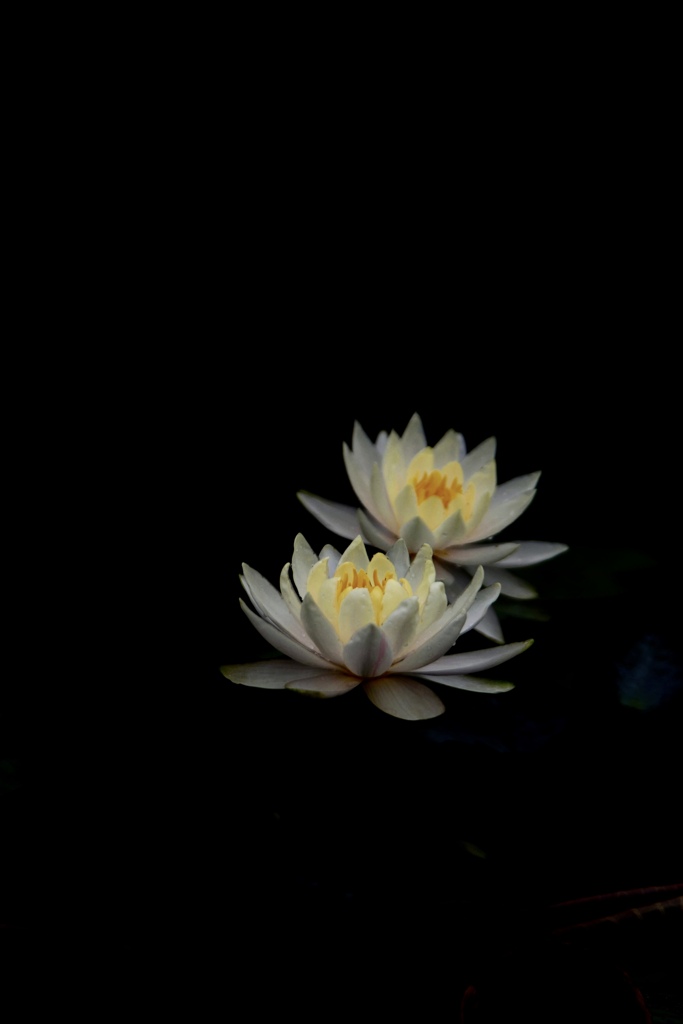 静寂