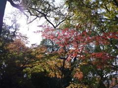 神社