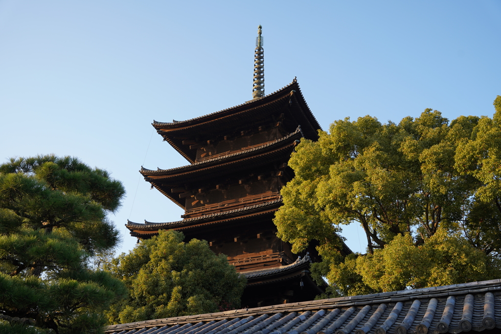 東寺