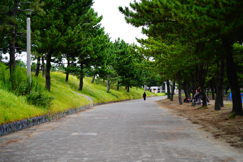 海の公園