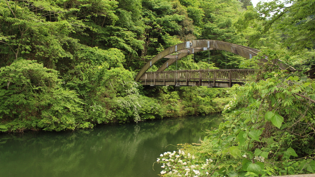 橋と川