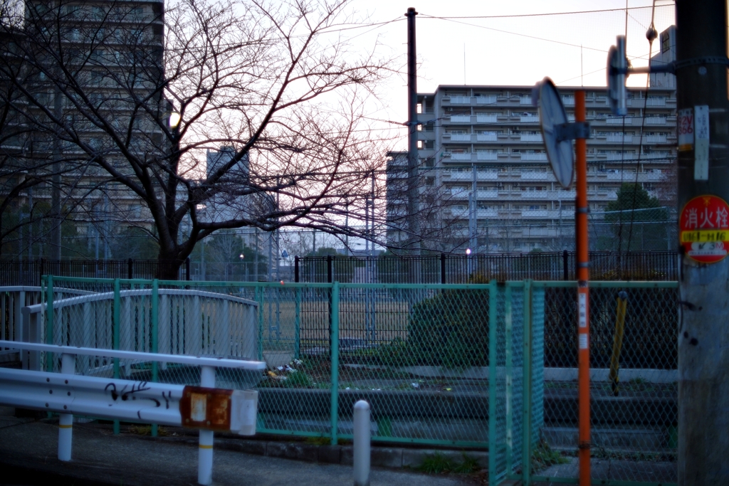 朝散歩②