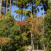 紙屋川庭園