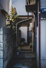 これもひとつの日本の風景