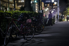 雨上がりの香り