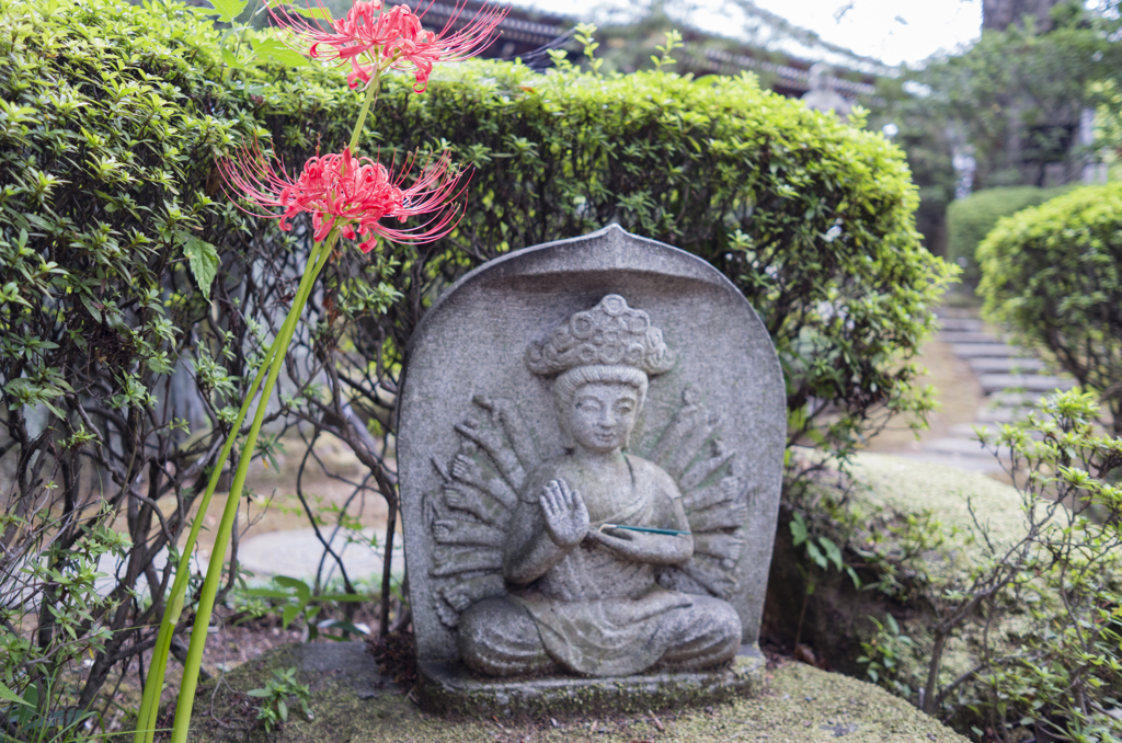 安養寺にて1