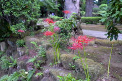 安養寺にて２